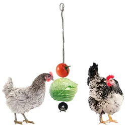 Pet Parrot Stainless Steel Feeder Fruit Corn Fork Toys Chicken Vegetables Holder Hanging Feeding Birdcage Accessories