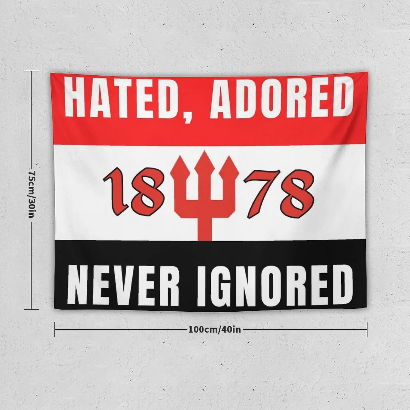 TAPESTRIES - Hated, adored never ignored! Tapestry Aesthetic Home Decor Home Decorations Aesthetic Decorations For Room Tapestry