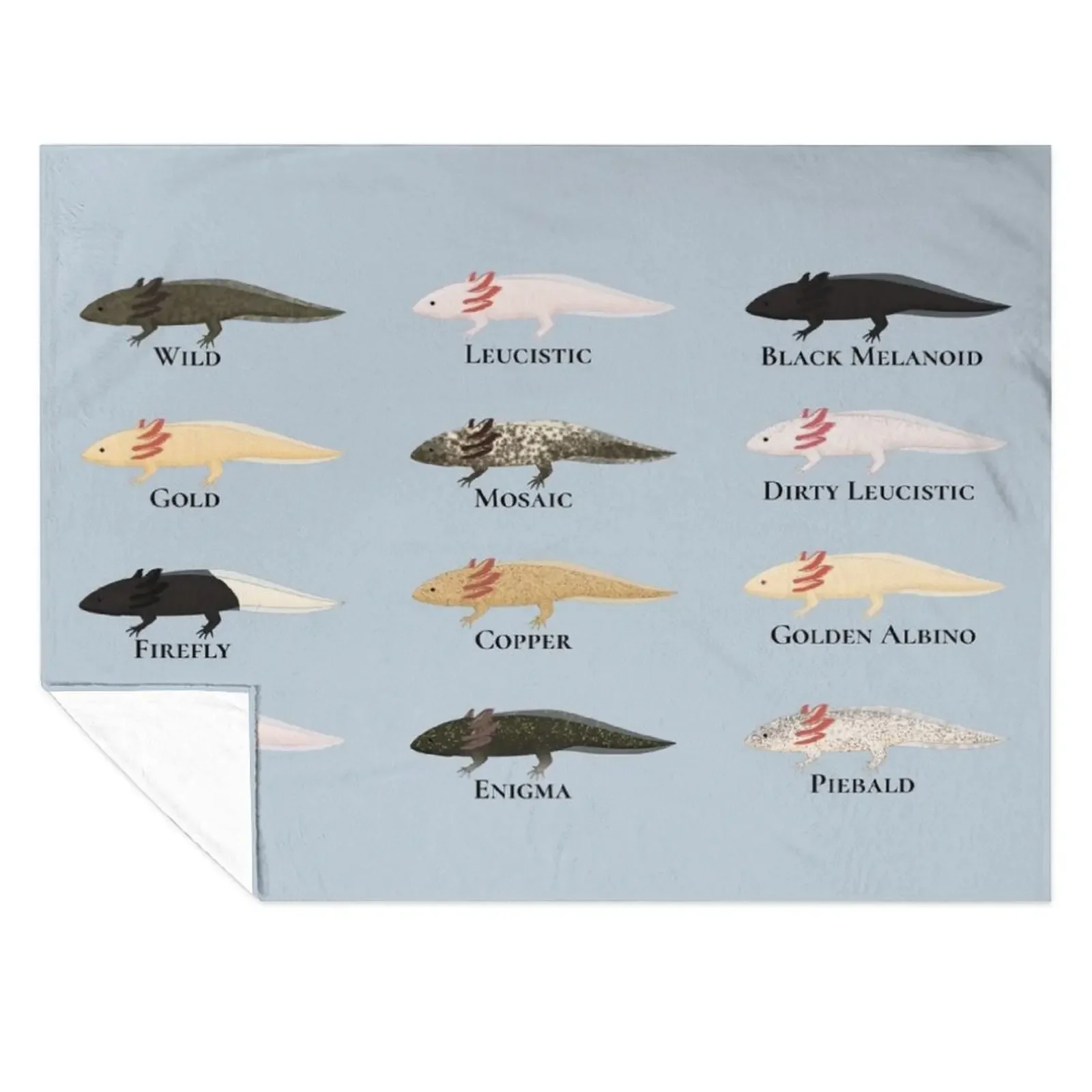 

Every Axolotl with Labels Throw Blanket Decorative Throw Loose anime blankets and throws Blankets