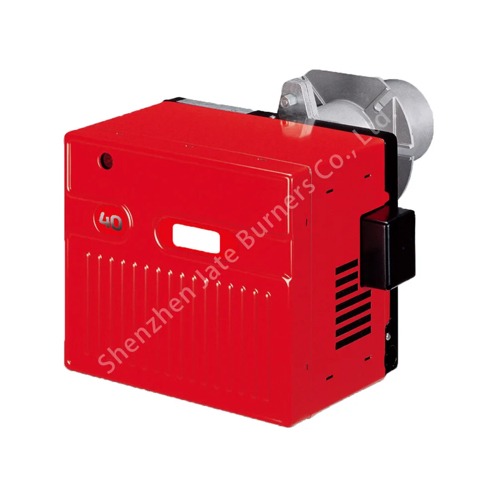 

Rie Llo 40 G5 Light Oil Burner in Low or Medium Temperature Hot Water Boilers Hot Air or Steam Boiler Customized Stainless Steel