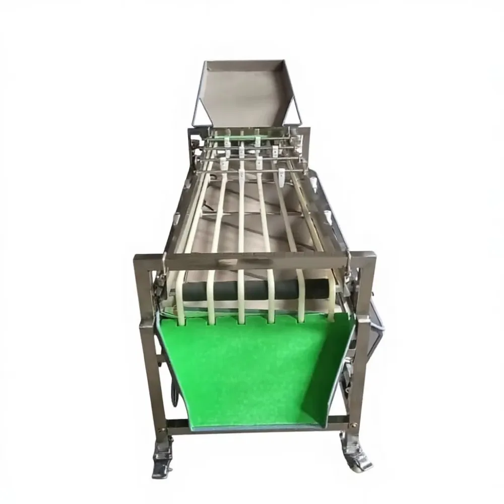 Electric Motor Multifunctional Tomato Potato Onion Mango Orange Size Optical Sorting Grading Machine Fruit Vegetable 304