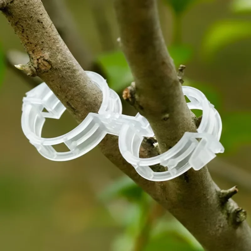 50/100pcs Plastic Plant Clips, Supports Connects, Reusable Protection Grafting Fixing Tool, Gardening Supplies For Vegetable