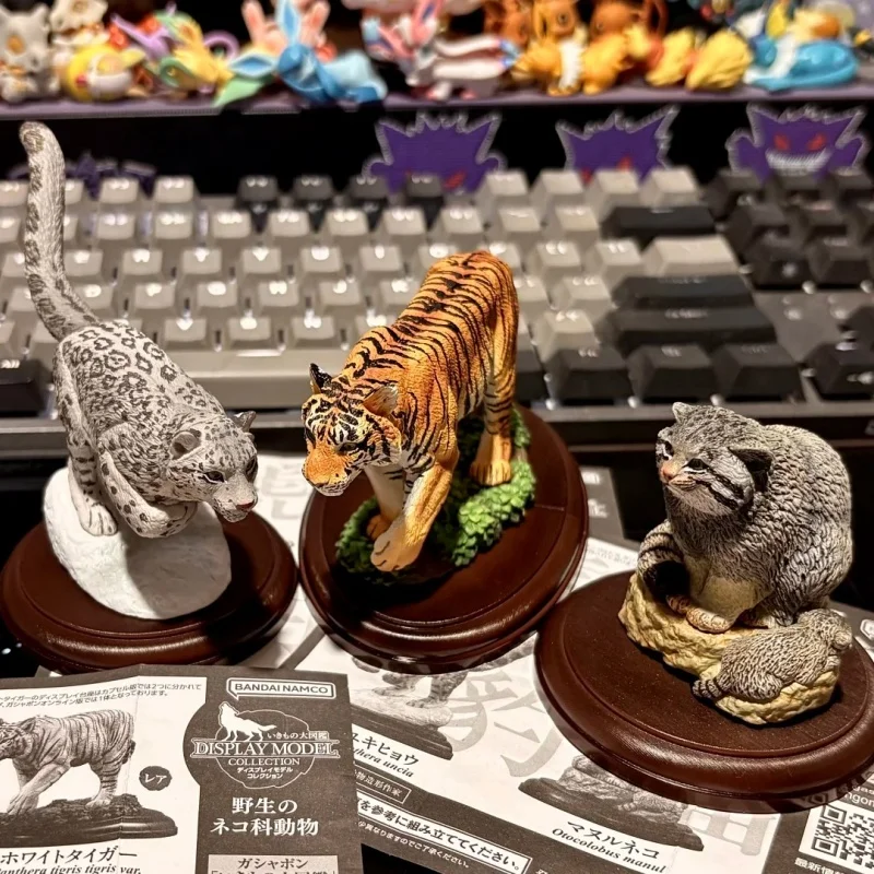 

BANDAI 13cmTiger Wild Feline Animal Biological Encyclopedia Collectible Statue Home Decor For Adult Collectors In Stock