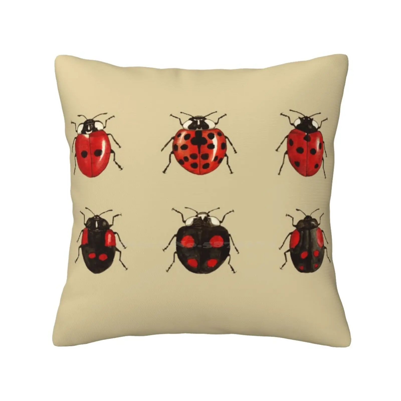 Entomology Studies Fig. 11 Pillows Case Bedroom Home Decoration Ladybird Insect Zoology Beetles Nature Wildlife Entomology