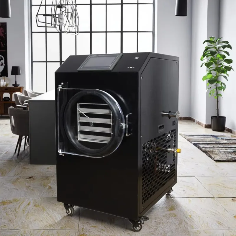 Industrial Lyophilizer Low Noise Freeze Dryer Mini Home Drying Equipment Freeze Drying Machine for Candy Fruits Vegetables