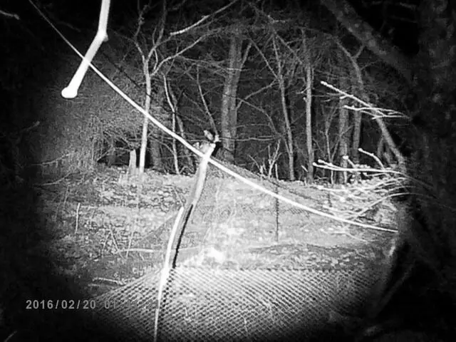 Ir850 940nm Infrarot LED Zoom hoch hell Nachtsicht Infrarot Füll licht taktische Jagd Taschenlampe ir füllen Beleuchtung Lampe – Detail 12