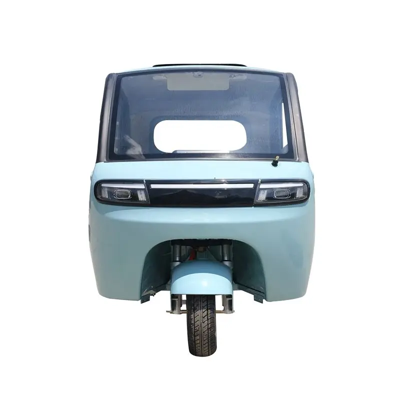 Closed Dual-Purpose Electric Tricycle for Adults with 800W Power and 60V