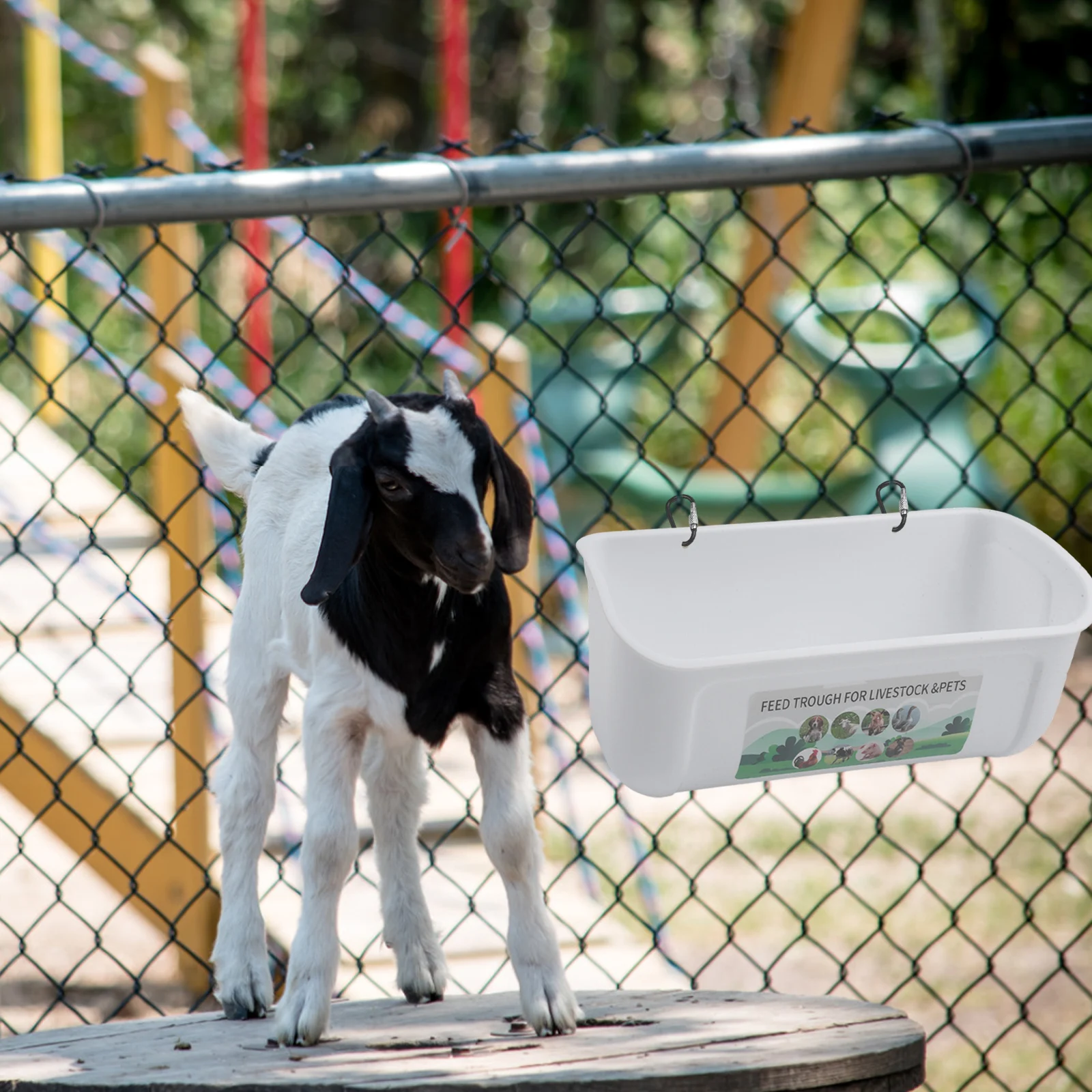 

Chicken Feed Basin Hanging Feed Trough Farm Feeding Solutions Convenient Hanging Design Hygienic Feeding Space For Poultry Fence