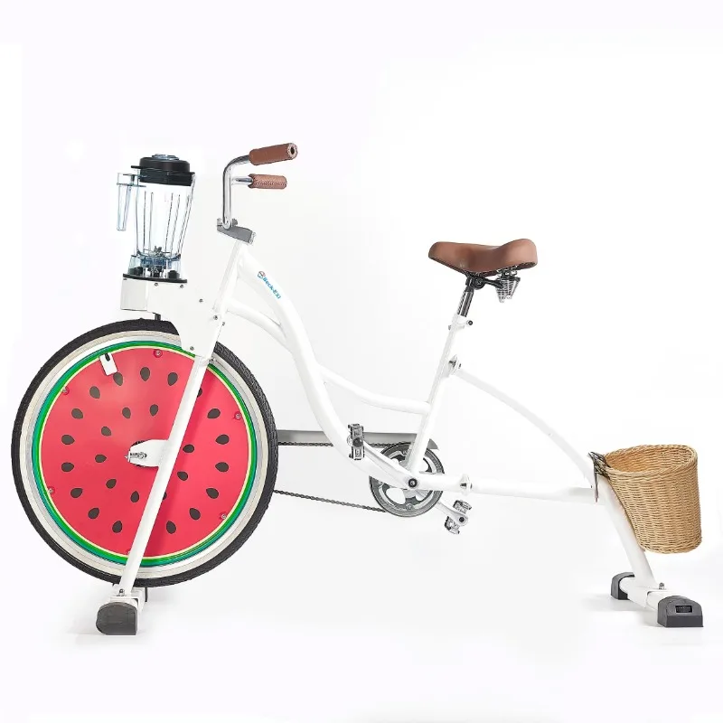 Outdoor Fruit Juicer Bicycle Non-Electric Blender Smoothie Bicycle