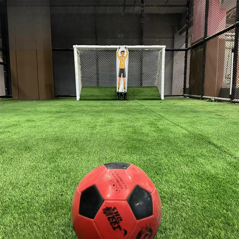 Cheap Modern Football Field Simulation Simulator Indoor Football Robot Keeper