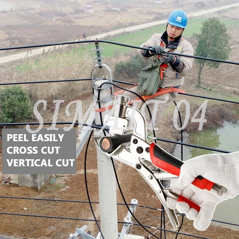 Multifunctional BXQ…