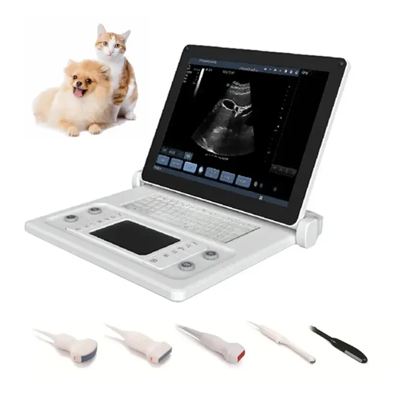 VET Cheapest Veterinary Ultrasound Imaging Machine Portable for Veterinary Use