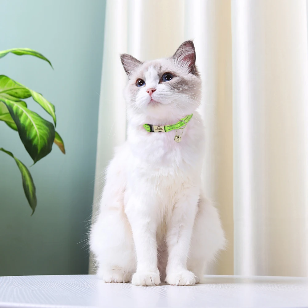 Eingraviert Individuelles Katze Kragen Reflektierende Kätzchen Welpen Halsbänder mit Glocke Personalisierte Pet Katzen Kragen Halskette Zubehör 1cm Breite – Detail 23