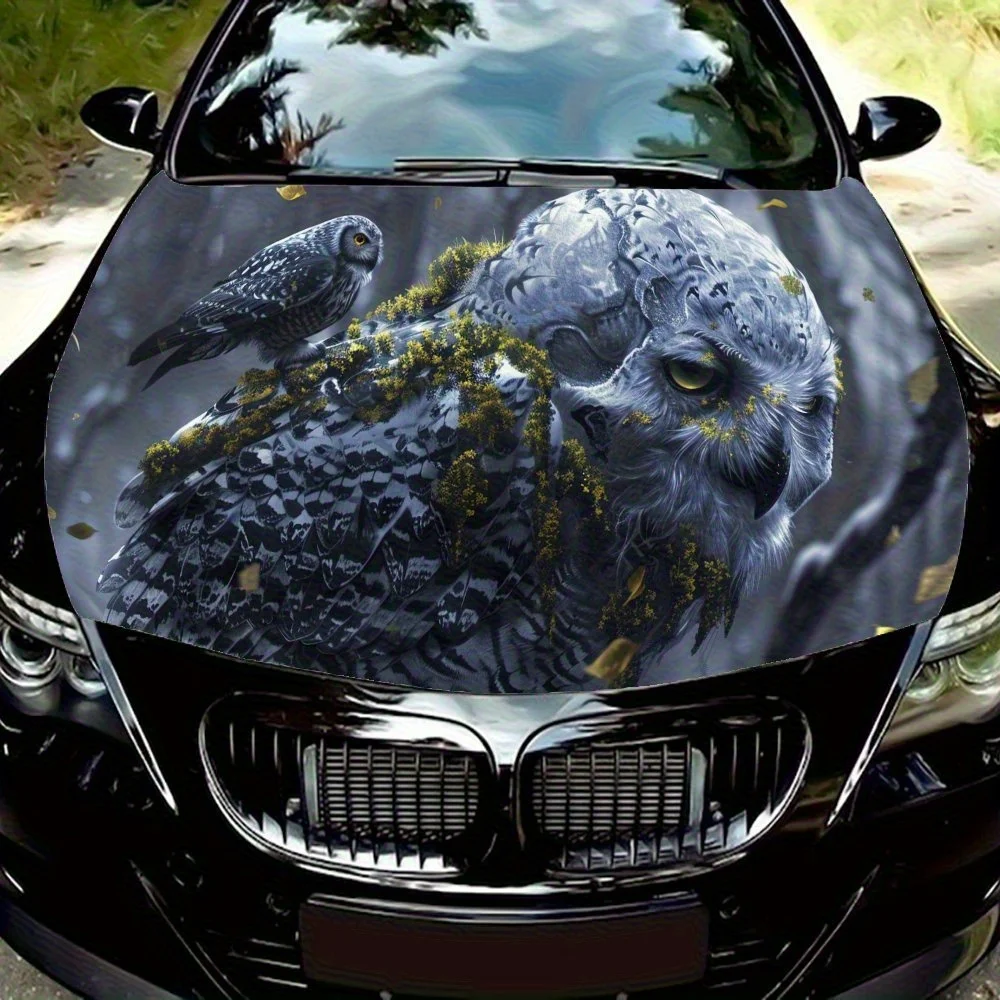 Enigmatic Owl - Sku… - image