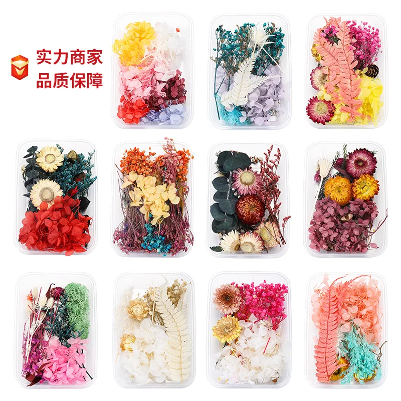 1set Hot Selling Floating Flowers Immortal Flowers Valentine's Day Gift Diy Fan Making Practical Yunnan Dried Flowers Wholesale