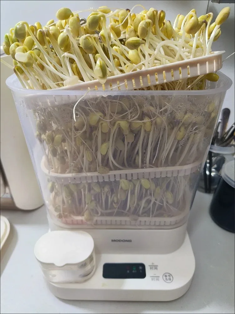 FirmHome StoreBean Sprouts Machine Household Automatic Intelligent Sprouting Bean Tooth Pot Artifact Homemade Small Mung Bean Ge