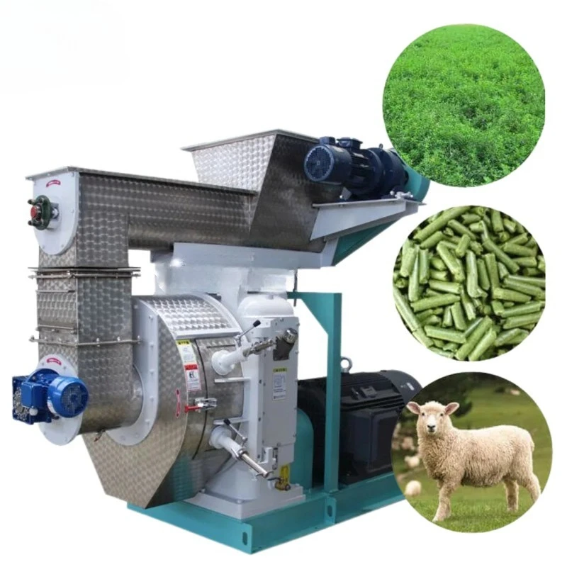 4 T/H Alfalfa Grass Hemp Animal Cattle Sheep Ruminant Feed with Ring die Pellet Mill