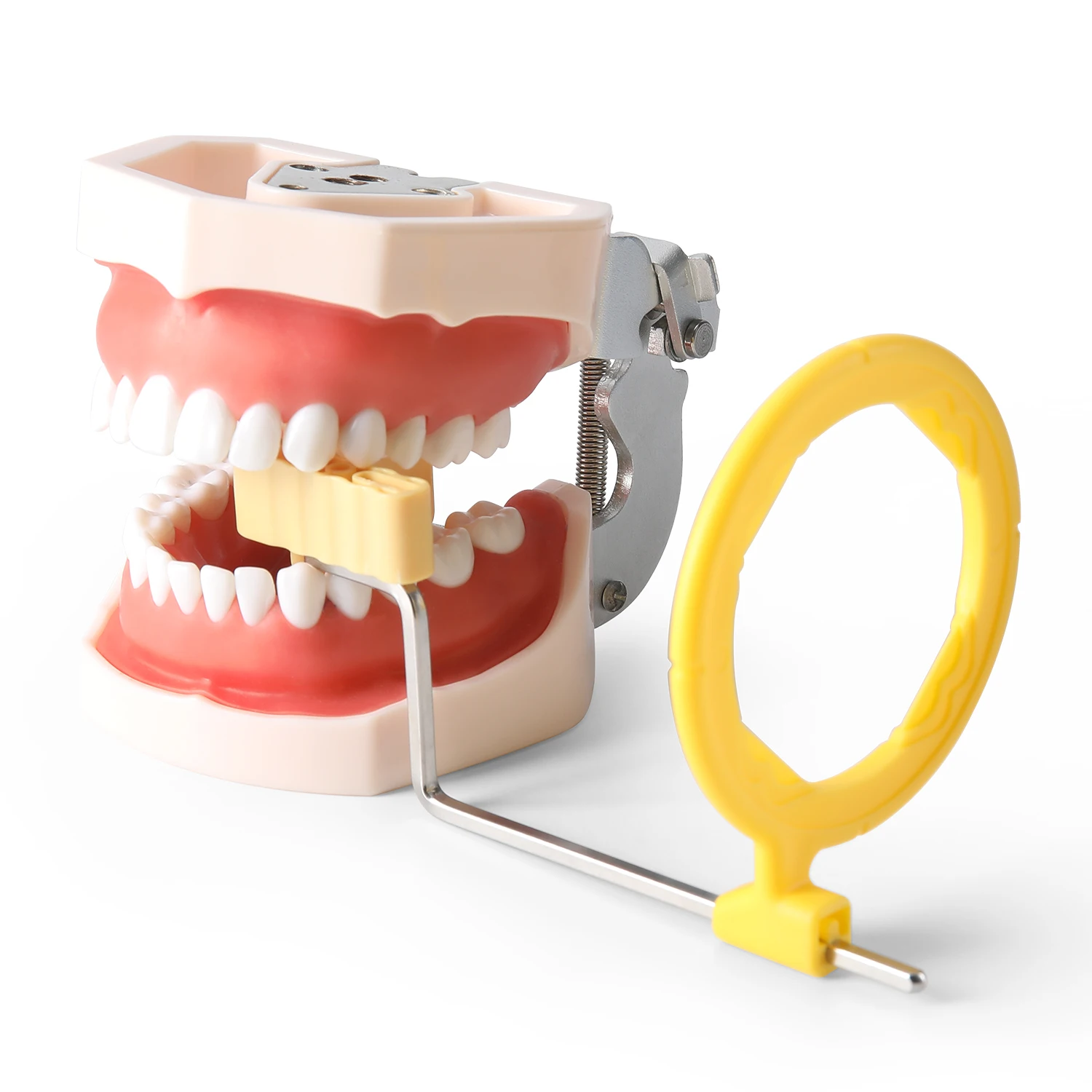 AZDENT Dental Intraorales Röntgen-Positionierungssystem Digitaler Sensorhalter Radiografie-Ring Ausrichtungsvorrichtung Positionierer Autoklavierbar – Detail 7