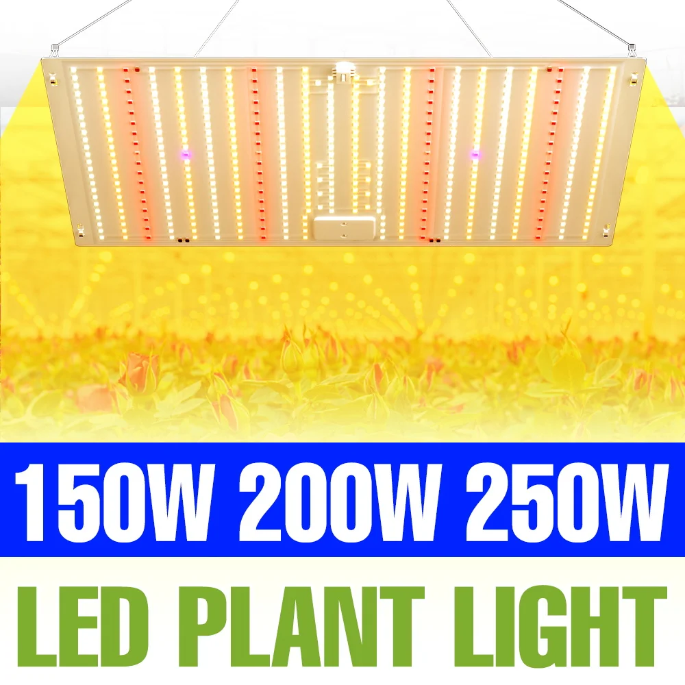 

250W LED Full Spectrum Grow Light Indoor 220V Quantum Board Plant Fill Lamp Greenhouse Tent Vegs Cultivate Lighting US/EU Plug