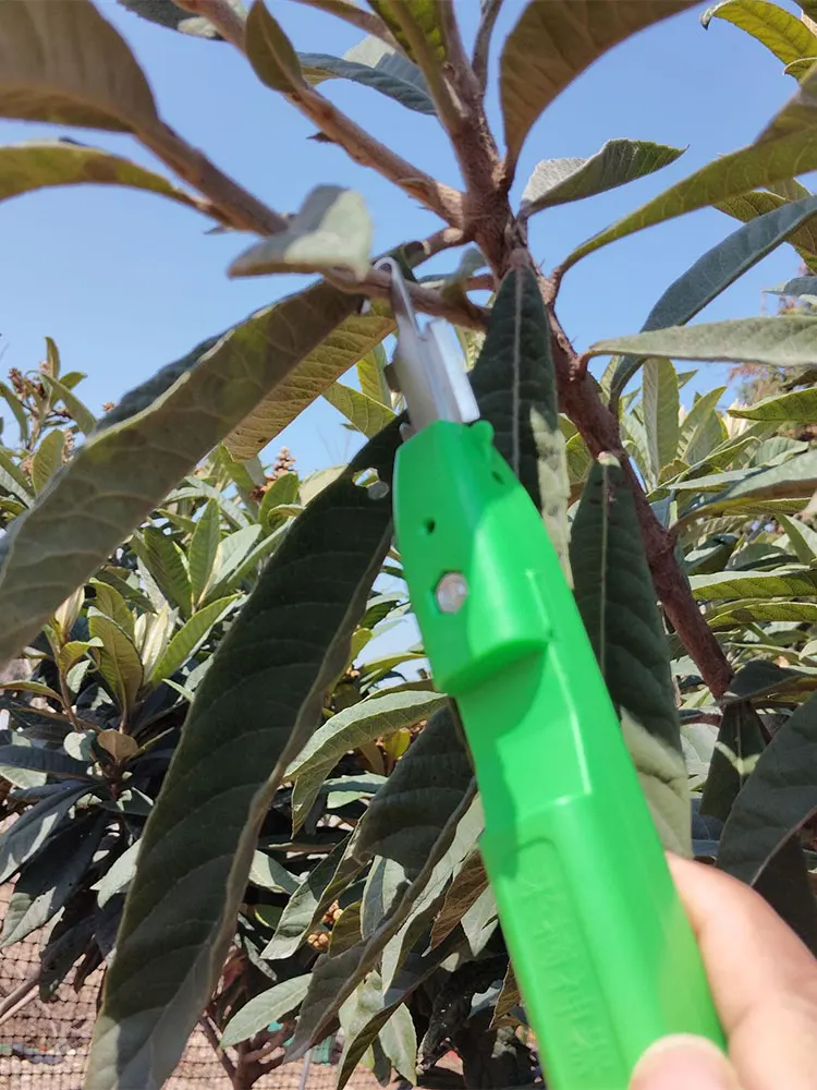 The new special tool, the fruit and vegetable picking artifact, is a picking shear specifically designed for agricultural fruit