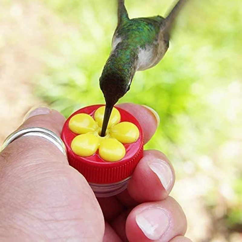 4-Piece Bird Feeder With Perching Sucker Brush, Suitable For Hand-Held Windows