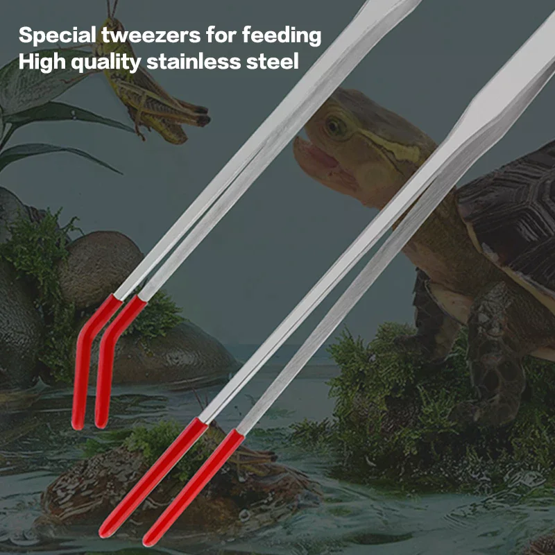 스테인레스 스틸 파충류 먹이주기용 집게 고무팁 수족관용 - Feeding Tong Stainless 리뷰 및 가격