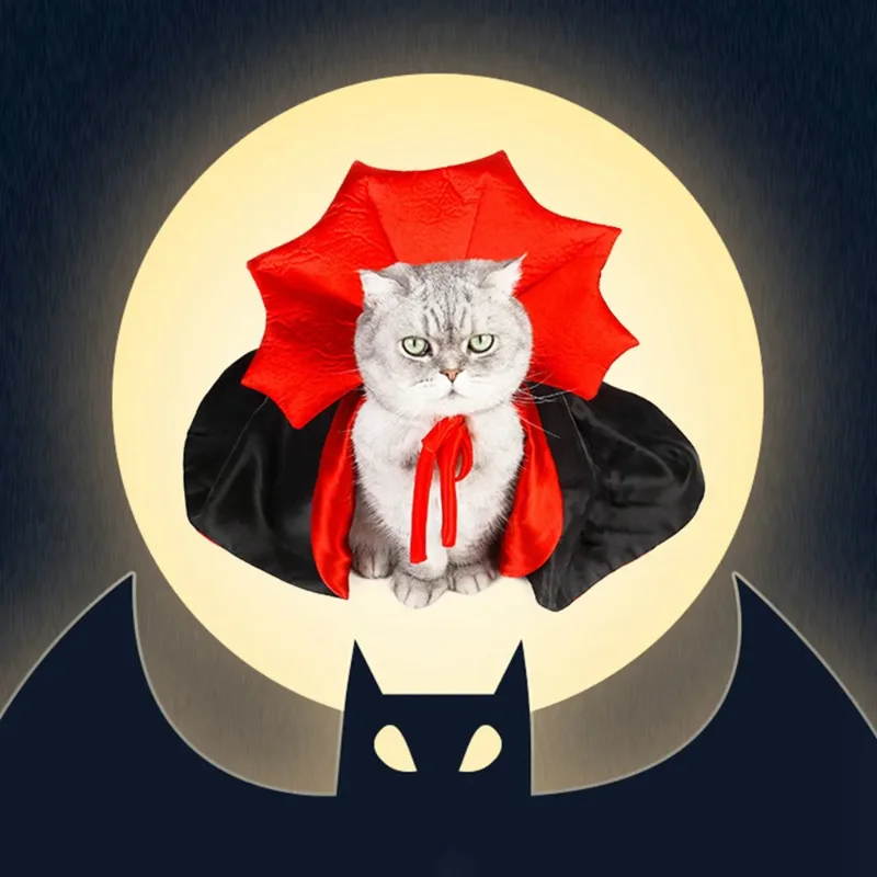 Ensemble de olympiques d'Halloween pour animaux de compagnie, chat festif, chien, sorcière, vampire, Everak, cosplay mignon, vêtements Kawaii, nouveau, 5 pièces