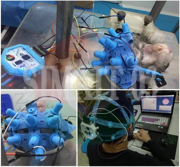 New Full Dry Electrode EEG Cap | Compatible with OpenBCI Ultracortex Mark Series