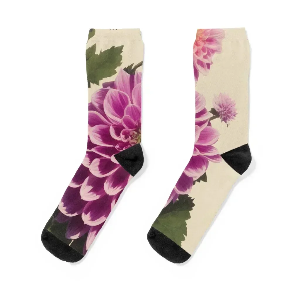 

Pink dahlia blossom painting Socks hockey Thermal man winter retro moving stockings Men Socks Women's