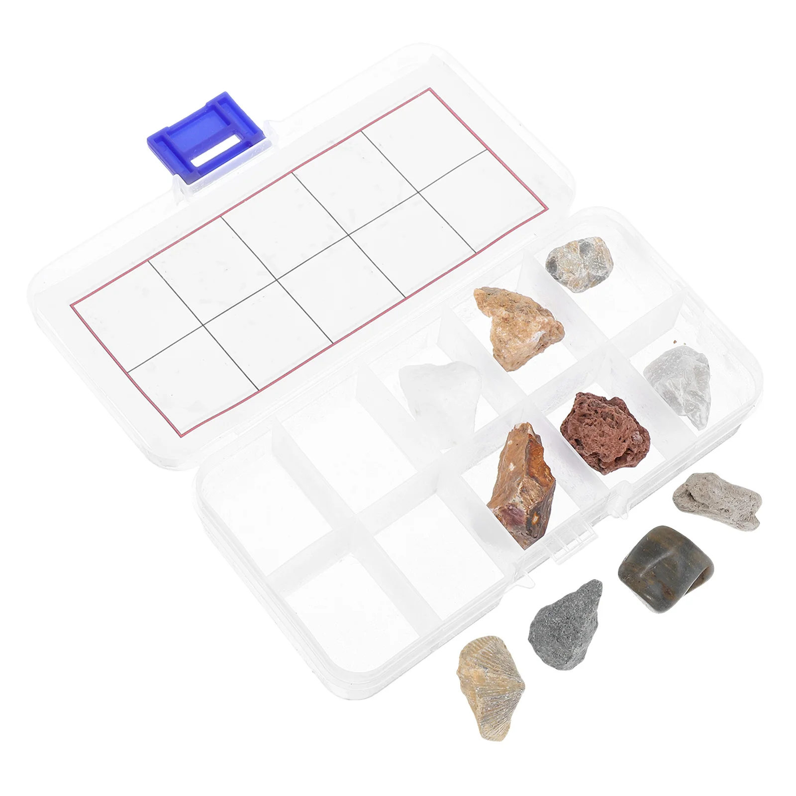 

1 set Rock Specimen Collection Geology Classroom Rock Collection For Kids Display Set Educational Tools Stone Samples