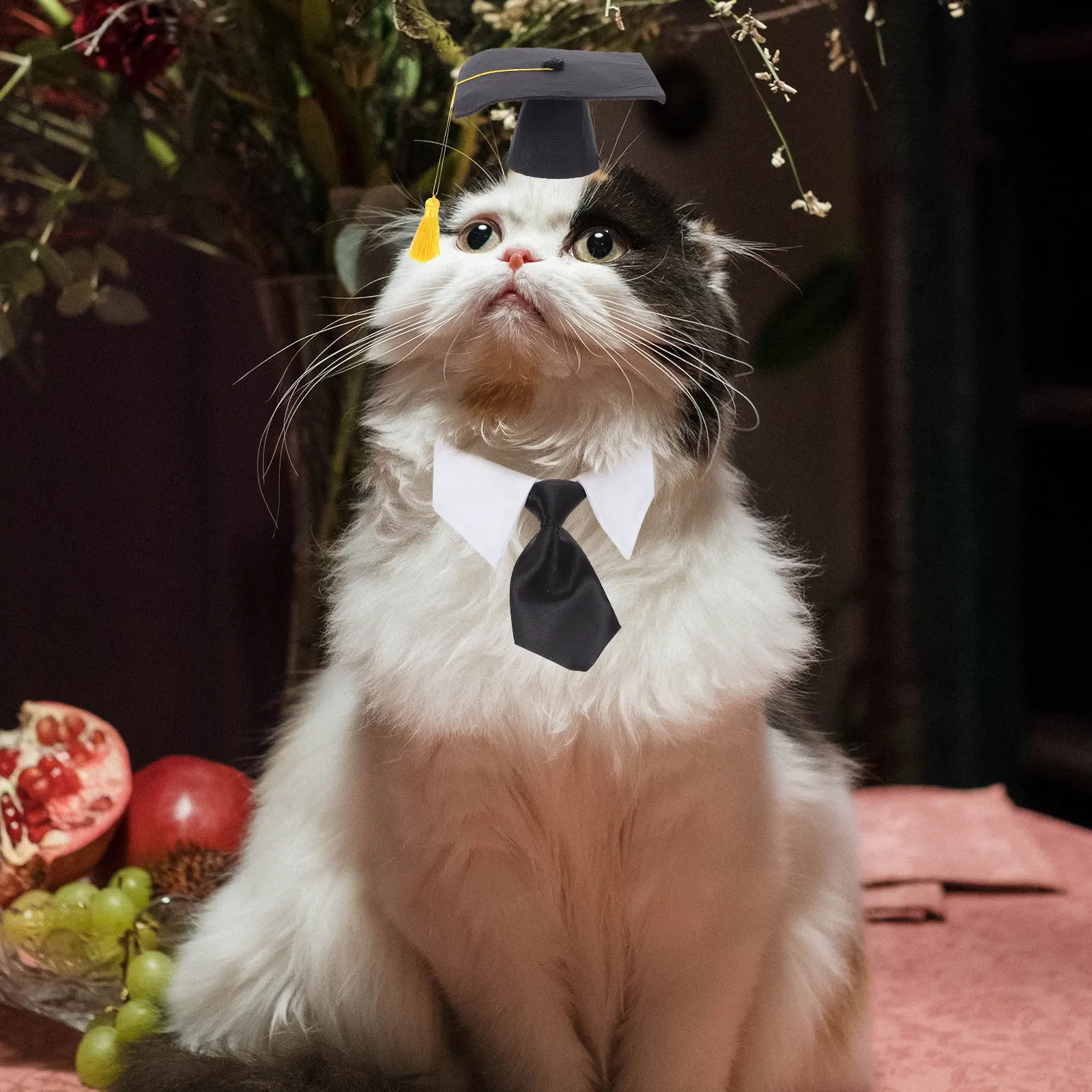 

1 set Pet Graduation Caps Kit Black Dog Hat Tassel Decor Pet Graduation Suit For Cats Dogs Comfortable Long Wear Party Decor