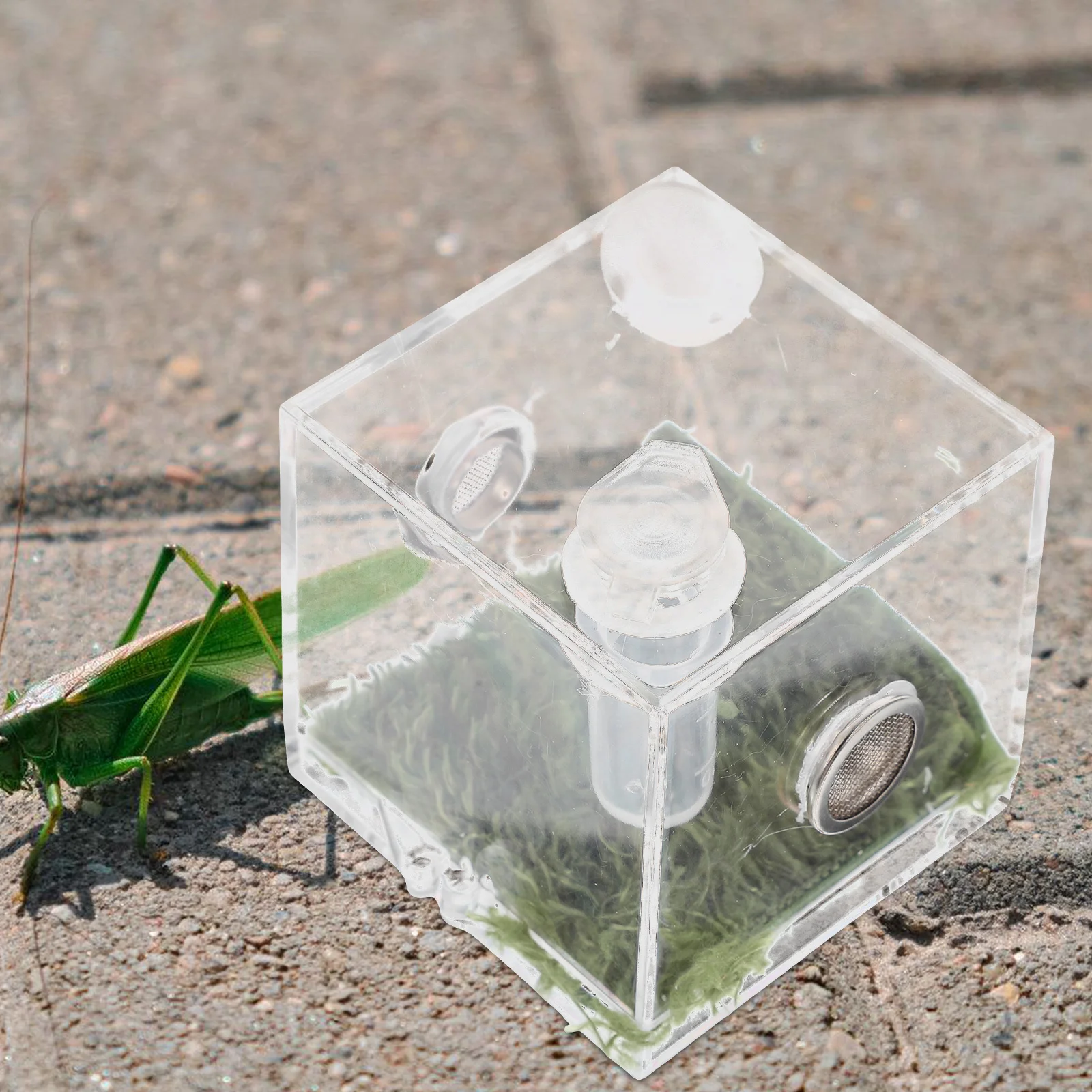 

2Sets Jumping Spider Breeding Container Transparent Acrylic Insects Feeding Enclosure Box Jumping Spider Enclosure