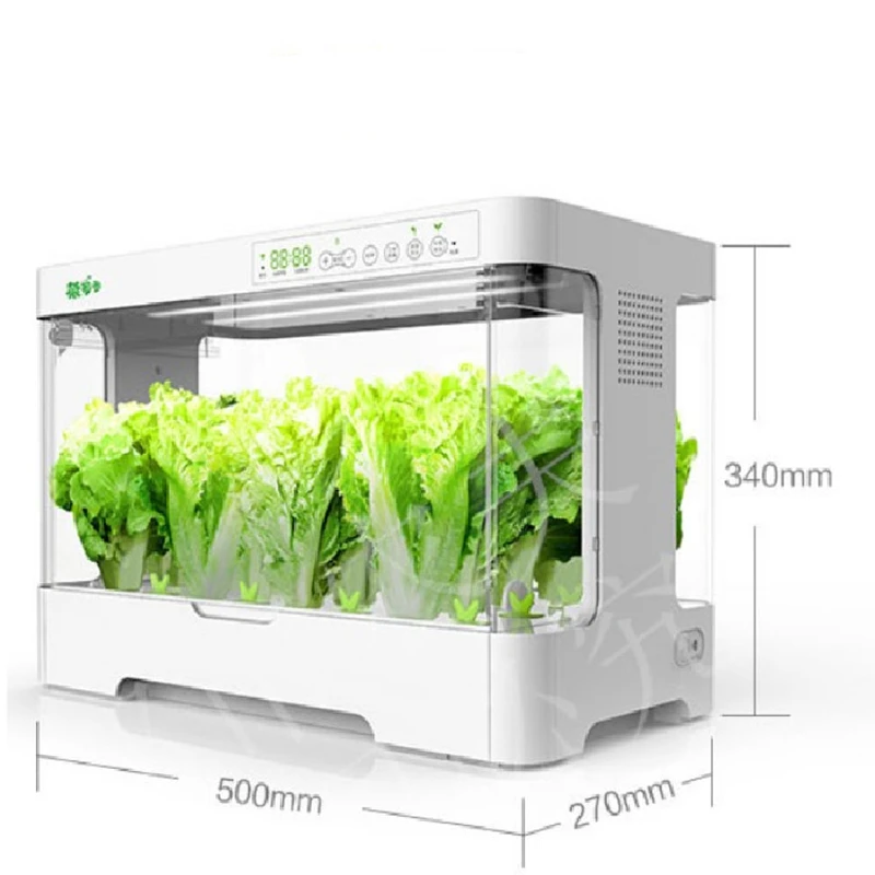 Hydroponic Vegetable, Strawberry, and Tomato Growing Box: Smart Soilless Cultivation Automation System for Home Indoor Use