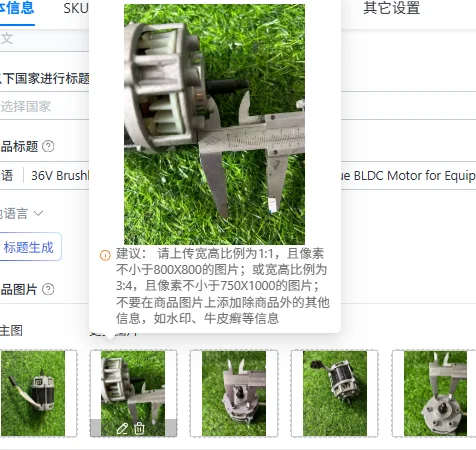 36V Brushless Permanent Magnet DC Motor, High Torque BLDC Motor for Equipment Modification