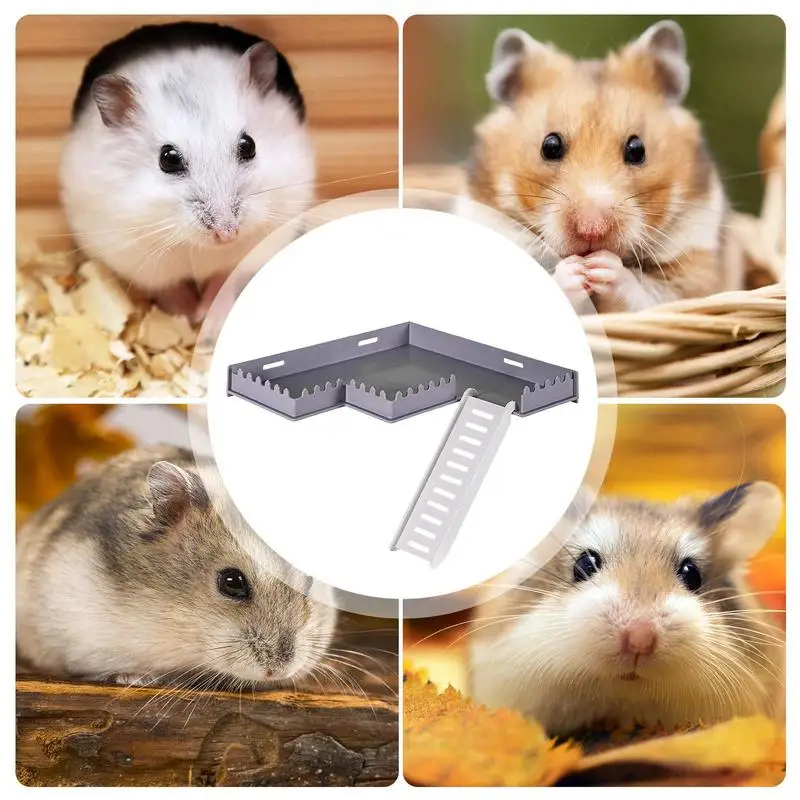 Thumbnail 4 - #35 Latest Pet Habitat Decors Offers