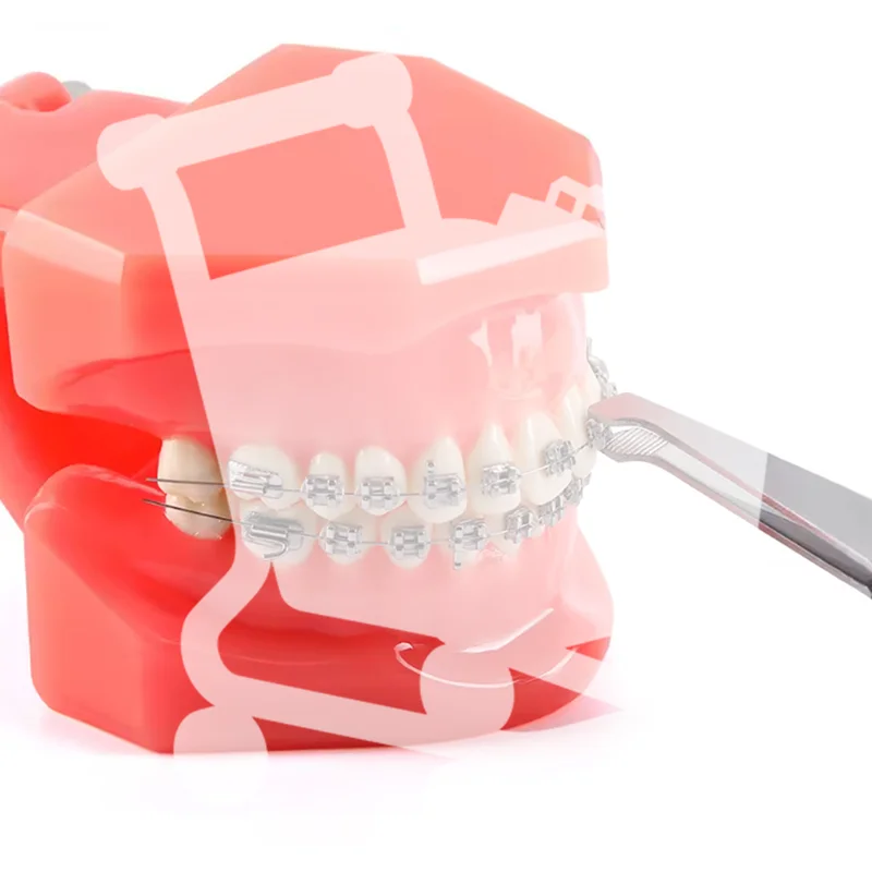 

1Pcs Dental Ortho Posterior Brackets Buccal Tube Bonding Tweezer Holder Placer Articulating Paper Tweezers Instruments Plier