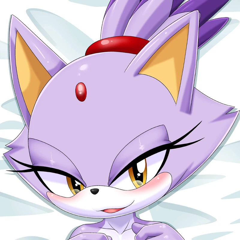 Blaze the Cat Anime Dakimakura Pillow Cover Double Sided Print Hugging Body Pillow Case Multi Size 120-180cm