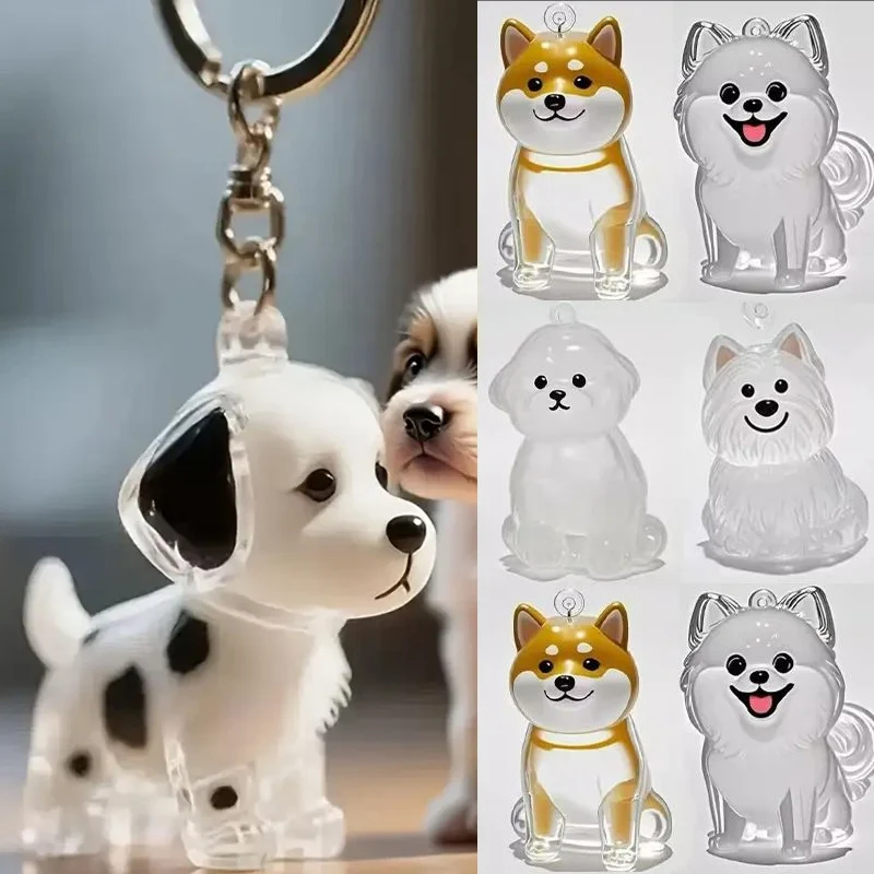 Dog Hair Storage Box Keyring Puppy Hair Memorial Keepsake Capsule Pet's Dog Fur Container Transparent Capsule Keychain Souvenirs