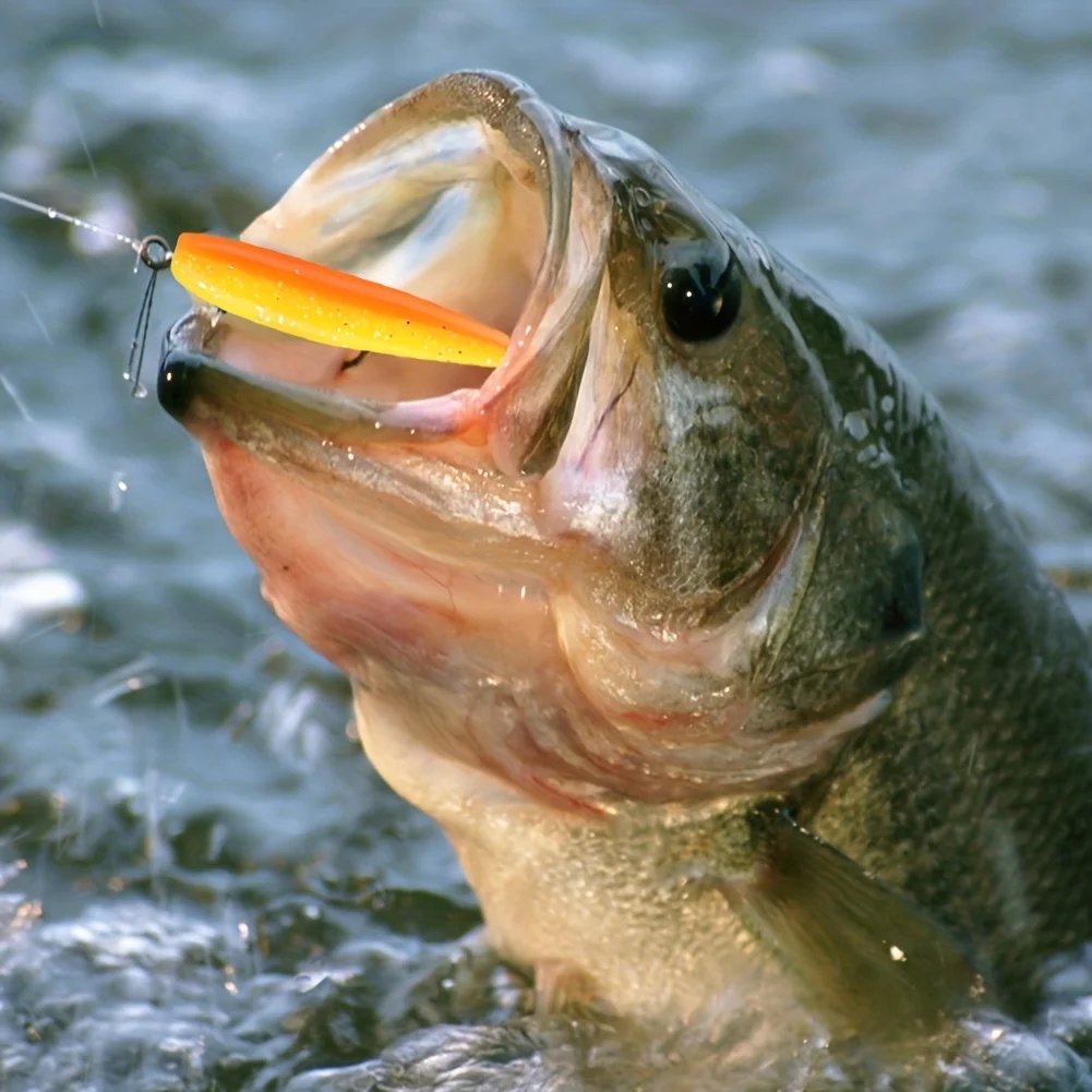 50pcs/box Fishing Lure T Tail Spinner Soft Artificial Bait Paddle Tail Soft Worm Carp Bass Freshwater Fishing Tackle Accessories