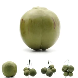Simulation Coconut Plastic Fake Coconut Fruit Vegetable Model Photography Display Early Education Toy Hainan Scene Decoration