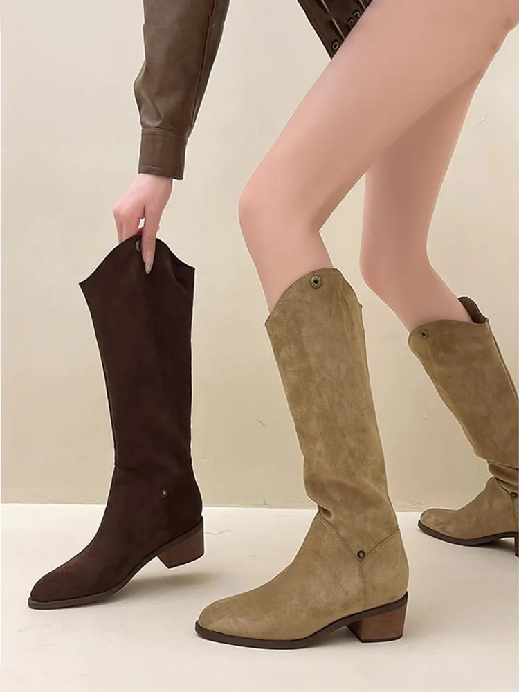 Retro Long Boots 2024 New Suede British Style Pointed Toe Knee-High High Boots Fashion Chunky Heel Two Ways of Wear Women Boots