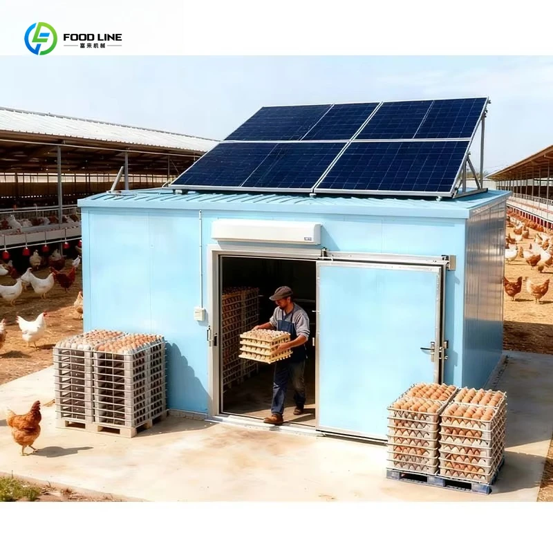 Customized Best Price Solar Refrigerated Containers From Chinese Manufacturers Fruit Freezer Storage