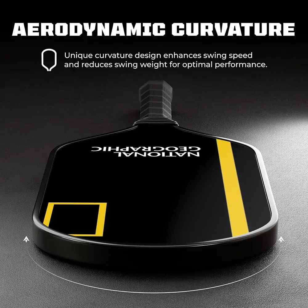 Рисунок 2 - N-National G-Geo-graphicS Pickleball