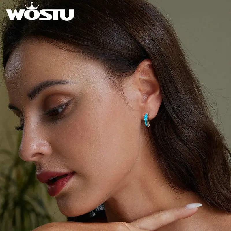 WOSTU 925 Sterling Silver Heart Opal Earrings Women Blue Opals Simple Geometric Ear Buckles Wedding Party Jewelry Gift For mom