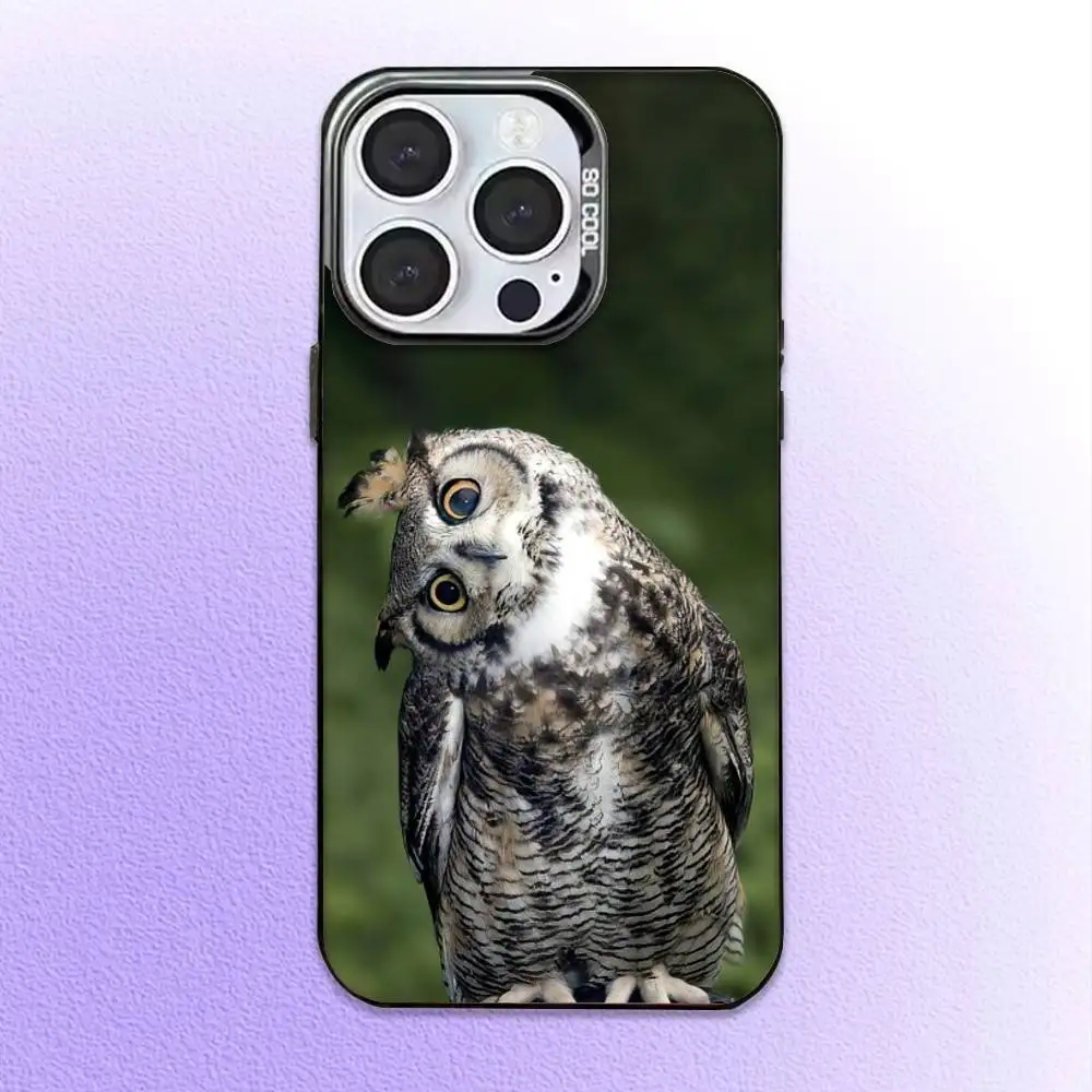 Pet Cute Owl Phone  Phone Case  For iPhone17,16,15,14,13,12,11 Plus,Pro Max Black Candy Matte Shockproof Cover