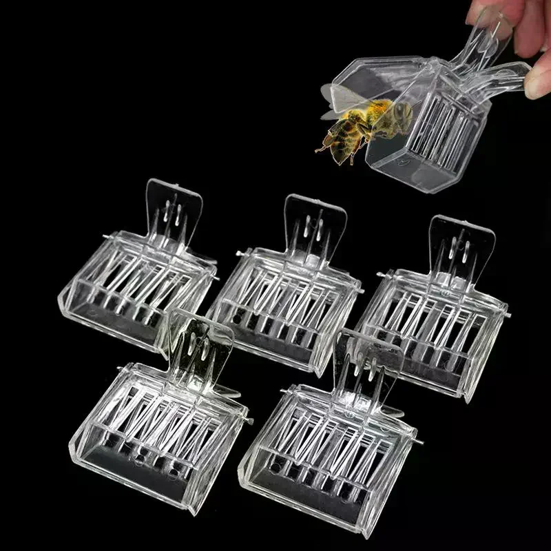 3/5 Transparent Clip-on Bee Cages, Plastic Clips, Queen Cages, Bee Catchers, Beekeeping Tools