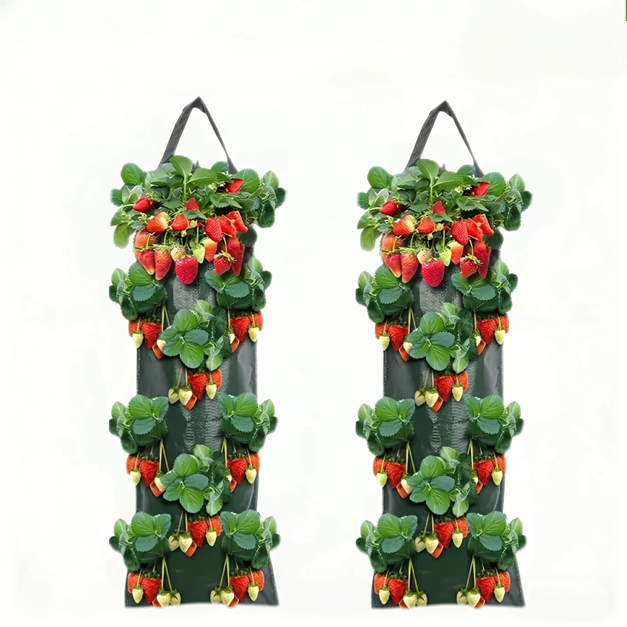 Multi Functional Vegetable and Fruit Planting Bag, Wall Mounted Foldable Planting Bag, Home Gardening, Balcony Vegetable Garden gallery 4