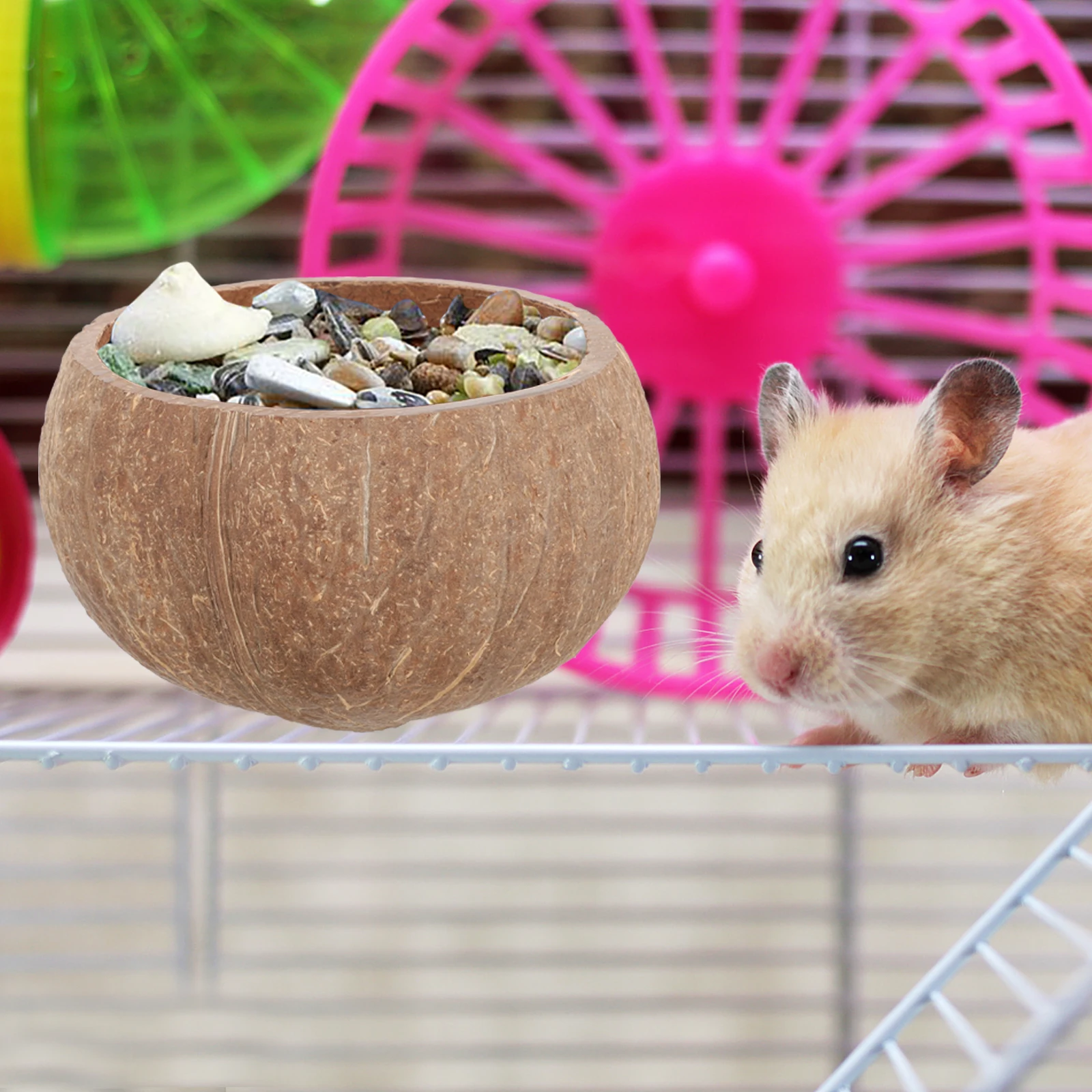 

Rabbit Pet Feeding Bowl Hamster Food and Water Coconut Shell Bunny Feeder for Cage