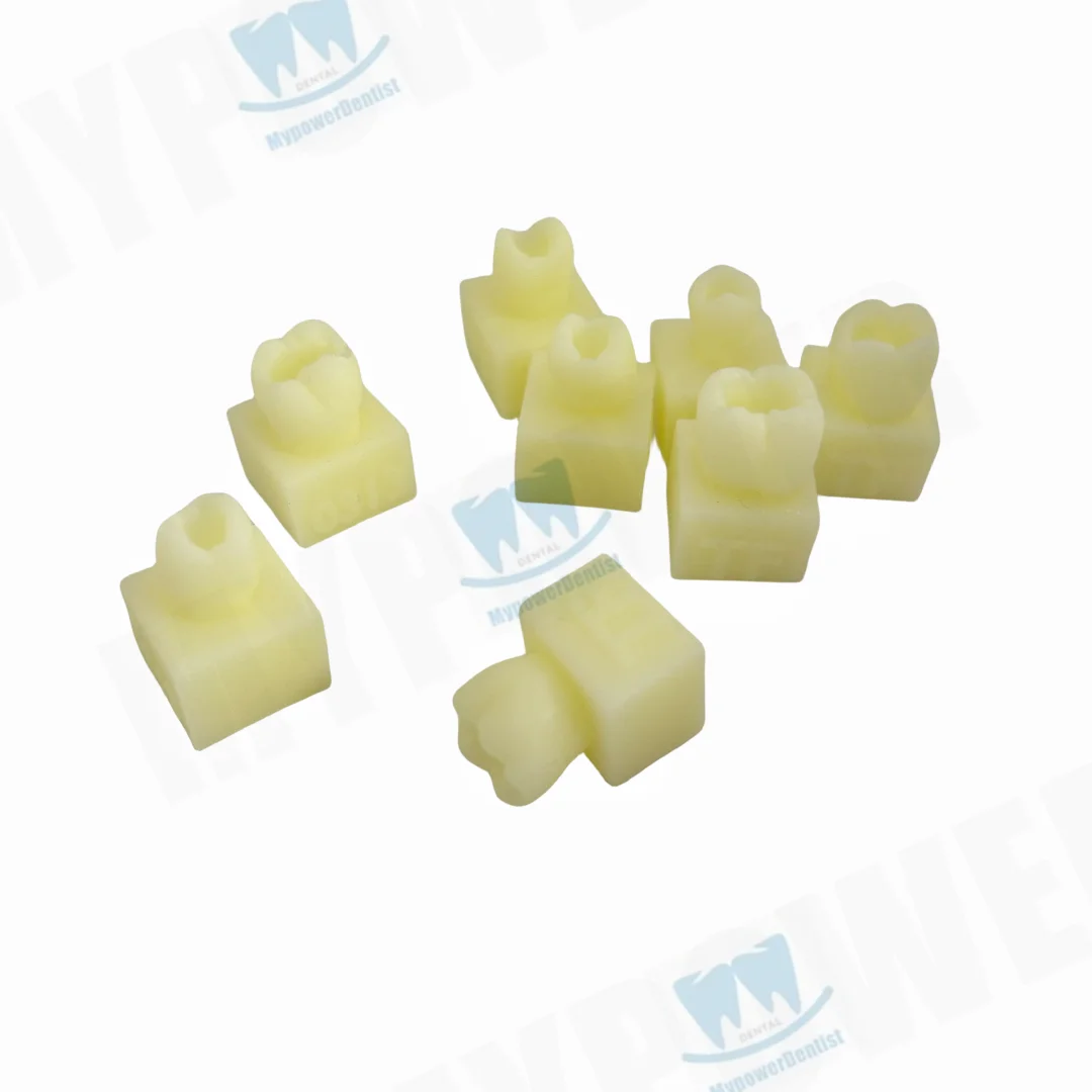 Dental Composite Resin Filling Model/Cavity Preparation Hole Dentin Model Dentist Student Test Model