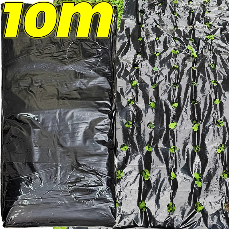 

0.95x10M Agriculture Pre-punched Hole Mulch Film Greenhouse Weeds Control Keep Warm Strawberry Vegetable Nursery Planting Tools